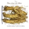 Sâm Tươi Hàn Quốc - 6 Năm Tuổi loại 5 Củ 1Kg